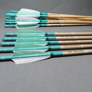 Turkuaz Tüylü Oklar